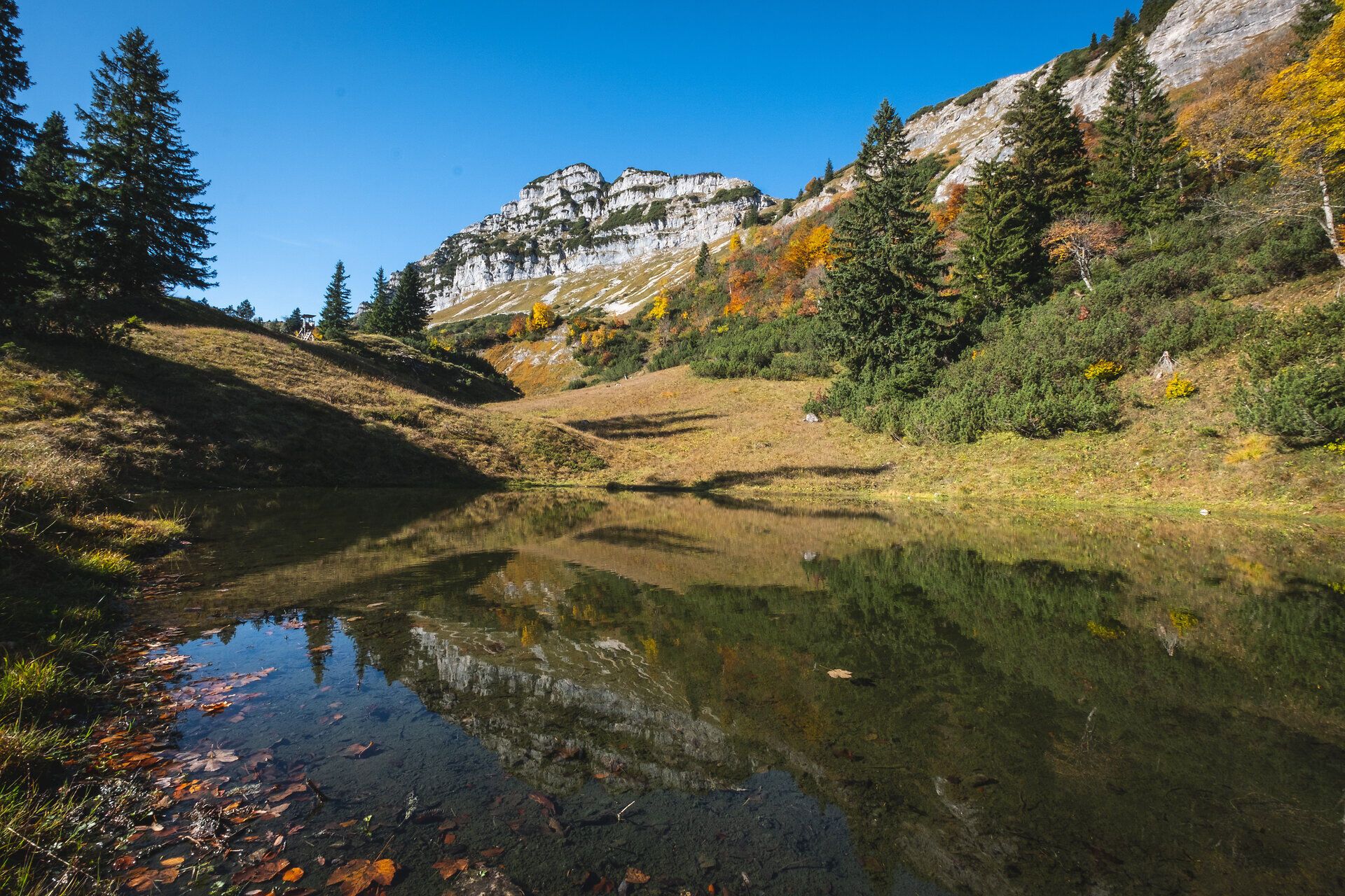 Die sanften Hügel spiegeln sich in der ruhigen Schwarzlacke, während die bunten Herbstblätter die Landschaft in ein warmes Farbenspiel tauchen. Hier, im Naturpark Ötscher-Tormäuer, entfaltet sich die Schönheit der Natur in ihrer reinsten Form und lädt zu unvergesslichen Erlebnissen ein.