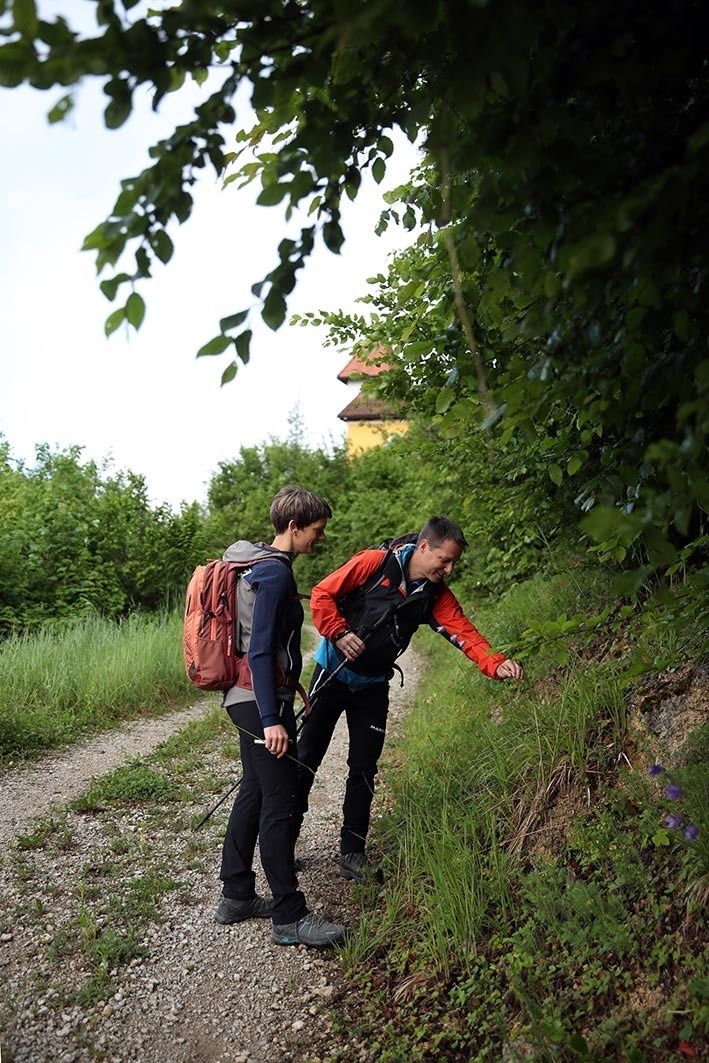 Hiking Opponitz