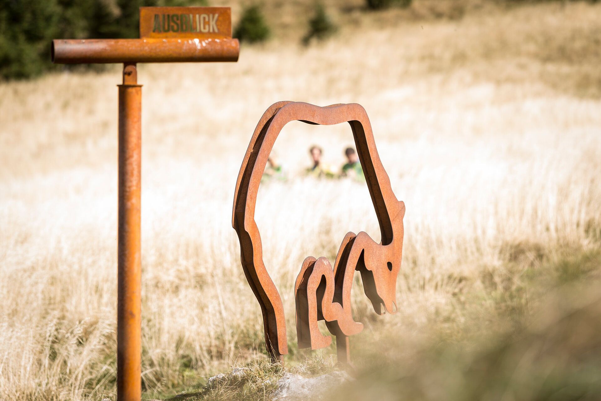 In der sanften Hügellandschaft des Mostviertels erhebt sich eine beeindruckende Bären-Skulptur, die Wanderer auf ihrem Weg zum Gipfel begrüßt. Umgeben von goldenen Gräsern und dem Duft der Natur, lädt dieser Ort dazu ein, die Seele baumeln zu lassen und die Schönheit der Umgebung zu genießen.