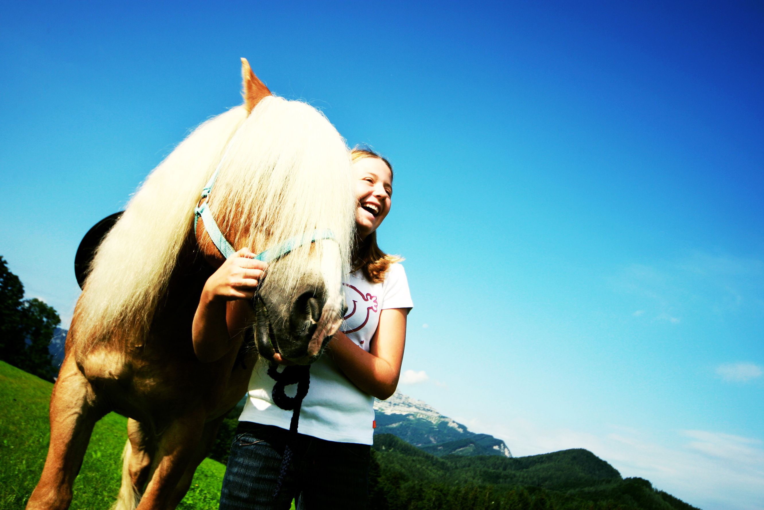 Ein Mädchen lacht neben einem Pferd auf einer grünen Wiese mit blauem Himmel im Hintergrund.