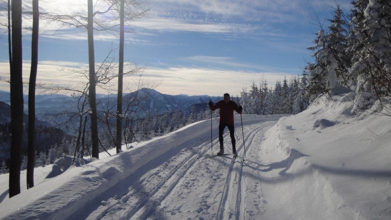 Cross-country skiing in Puchenstuben