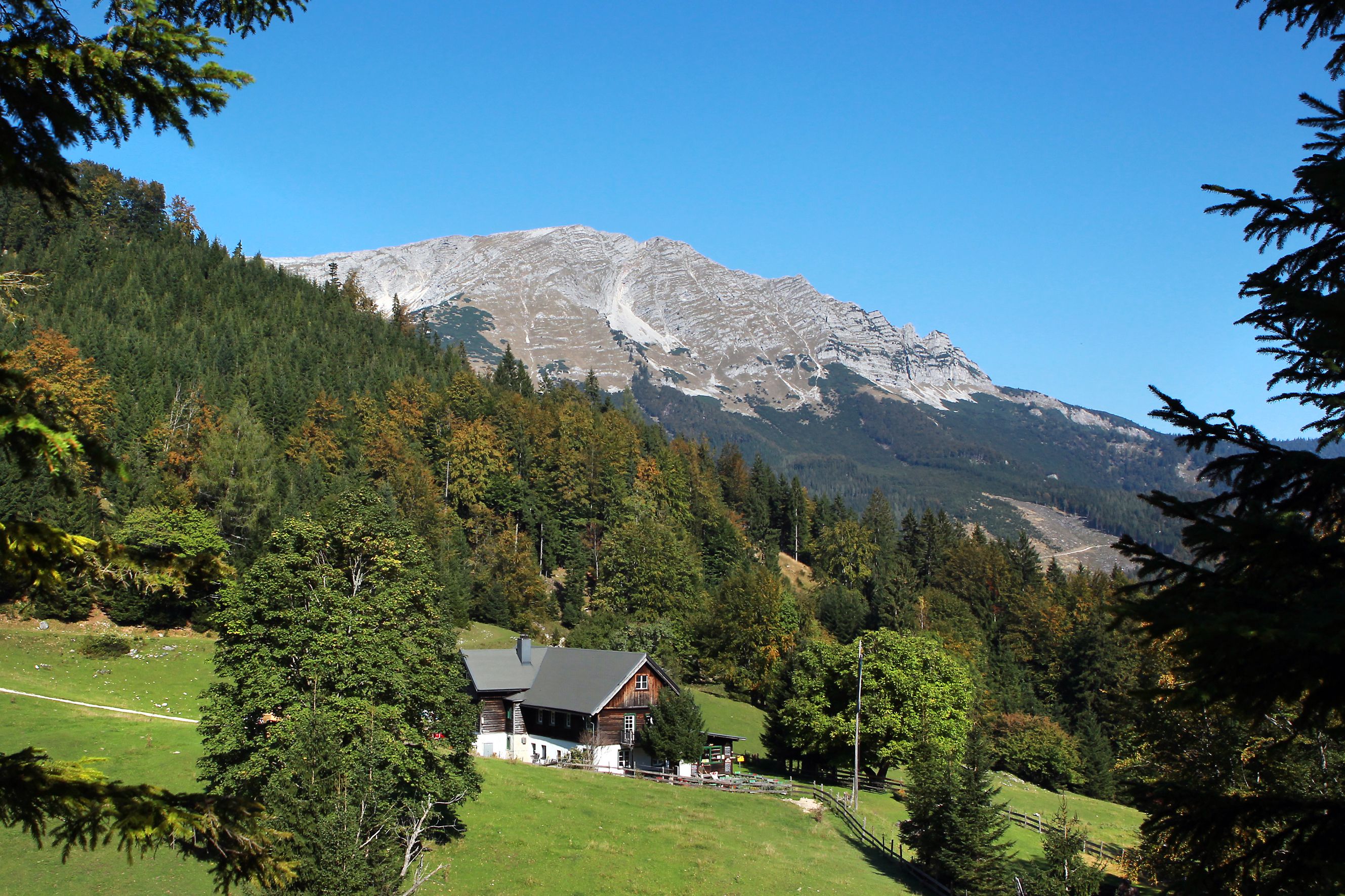Mountain landscape in the Ötscher Tormäuer Nature Park with forest and huts in the foreground.