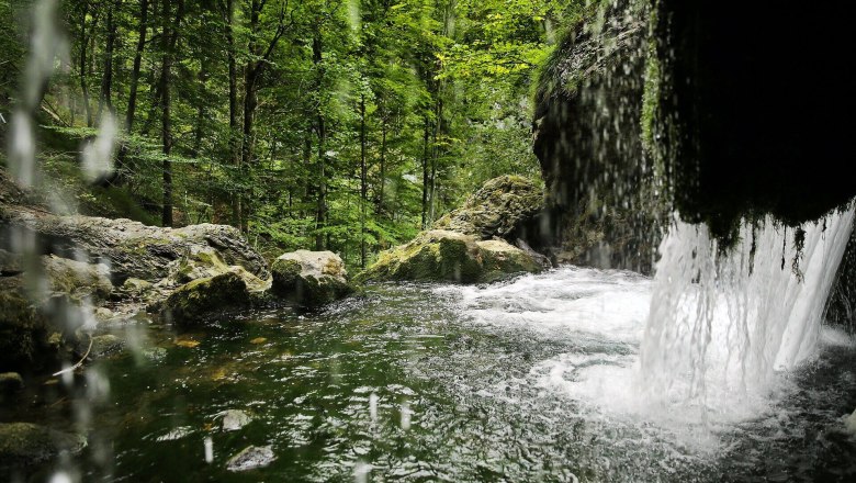Der Trefflingfall verzaubert mit seinem kristallklaren Wasser, das sanft &uuml;ber die Felsen pl&auml;tschert und eine erfrischende Atmosph&auml;re schafft. Umgeben von &uuml;ppigem Gr&uuml;n und majest&auml;tischen B&auml;umen l&auml;dt dieser Ort zum Verweilen und Entspannen ein, w&auml;hrend die sanften Ger&auml;usche der Natur die Seele beruhigen.