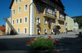 Gelbes Gebäude mit der Aufschrift 'Hallerhof', Blumen im Vordergrund.