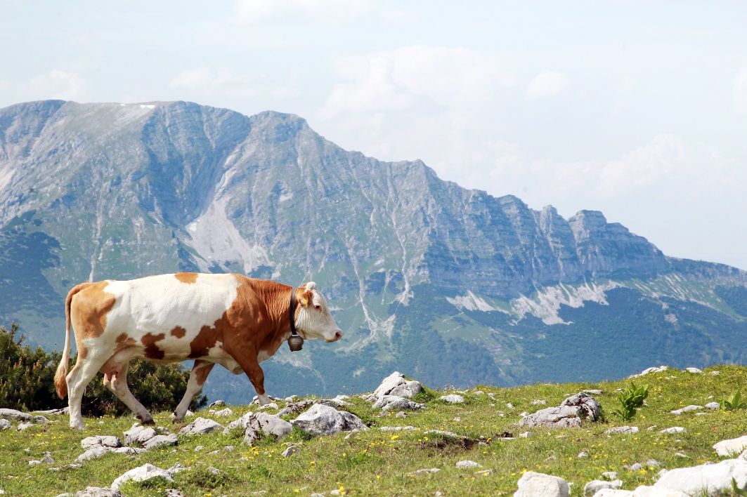 Ötscher view from the Gemeindealpe