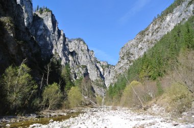 Hintere Tormäuer Bachbett, © Naturpark Ötscher-Tormäuer