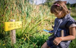 Mädchen kniet mit einer Lupe am Boden und beobachtet