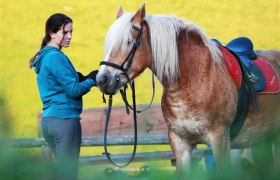 Eine Frau steht neben einem gesattelten Pferd und hält die Zügel. Im Hintergrund ist eine gelbe Wand zu sehen.