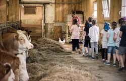 Eine Kindergruppe wird an einem Saal durch den Stall geführt.