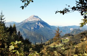 Ausblick Alpenhotel G&ouml;sing, &copy; weinfranz.at