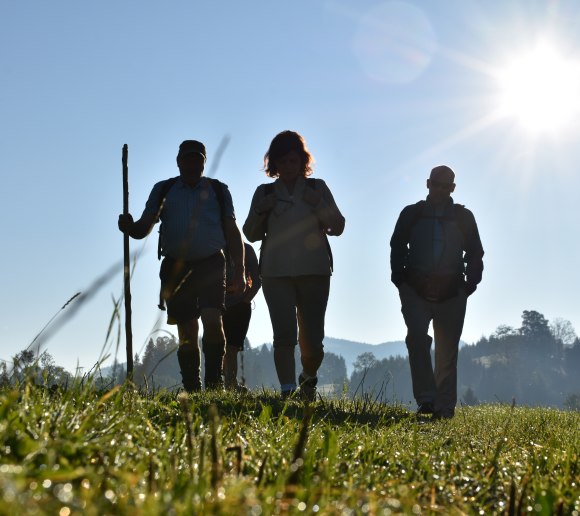 guided tour in the Nature Park, © Naturpark Ötscher-Tormäuer