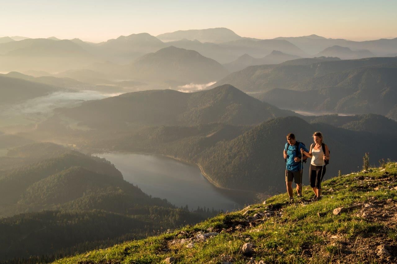  Magnificent view from the peak of Gemeindealpe Mitterbach