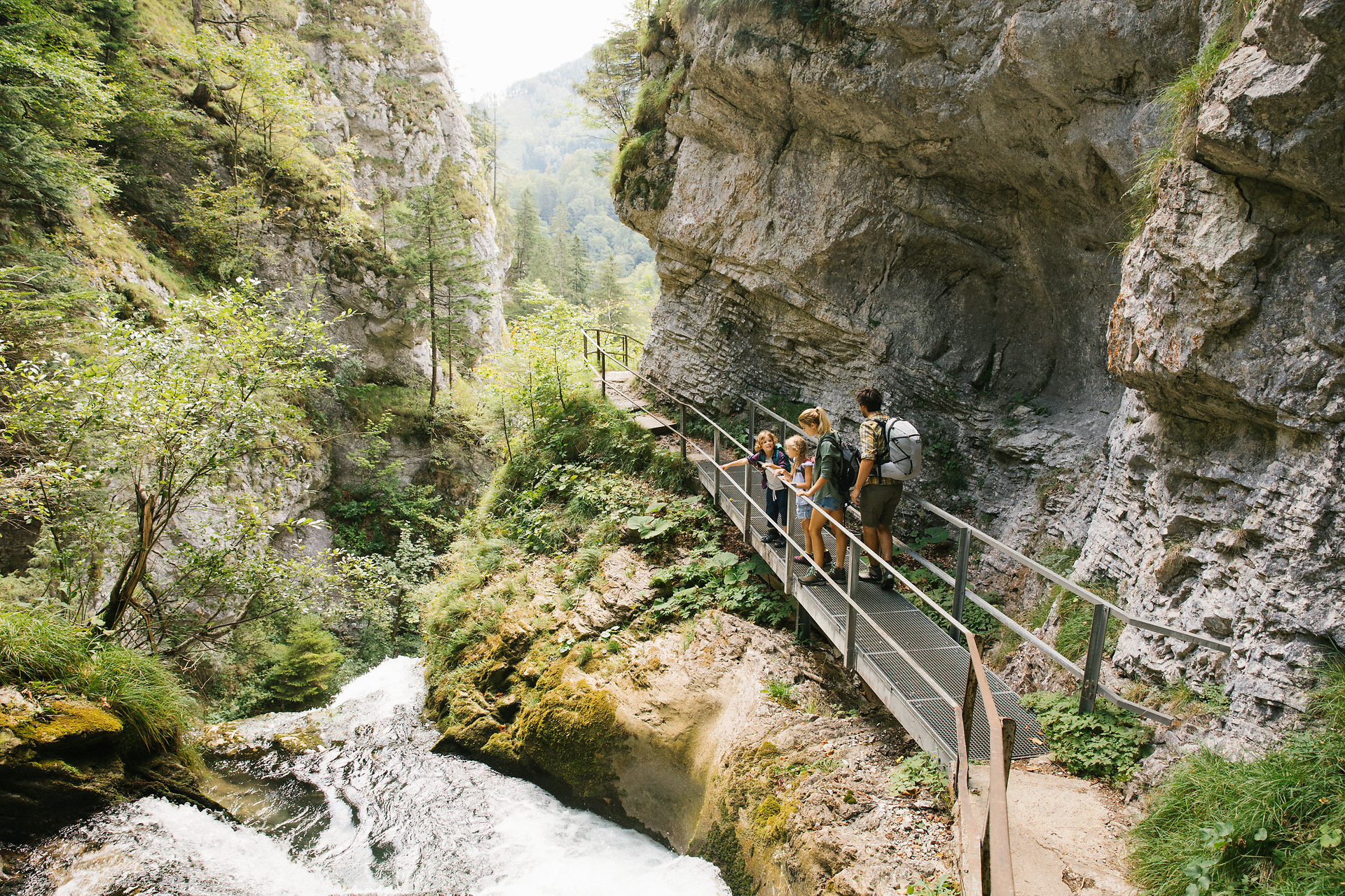 Ein malerischer Wanderweg führt durch die beeindruckende Schlucht, wo das Rauschen des Wassers harmonisch mit dem Gesang der Vögel verschmilzt. Familien genießen die frische Luft und die atemberaubende Natur, während sie die Schönheit des Naturparks Ötscher Tormäuer erkunden.