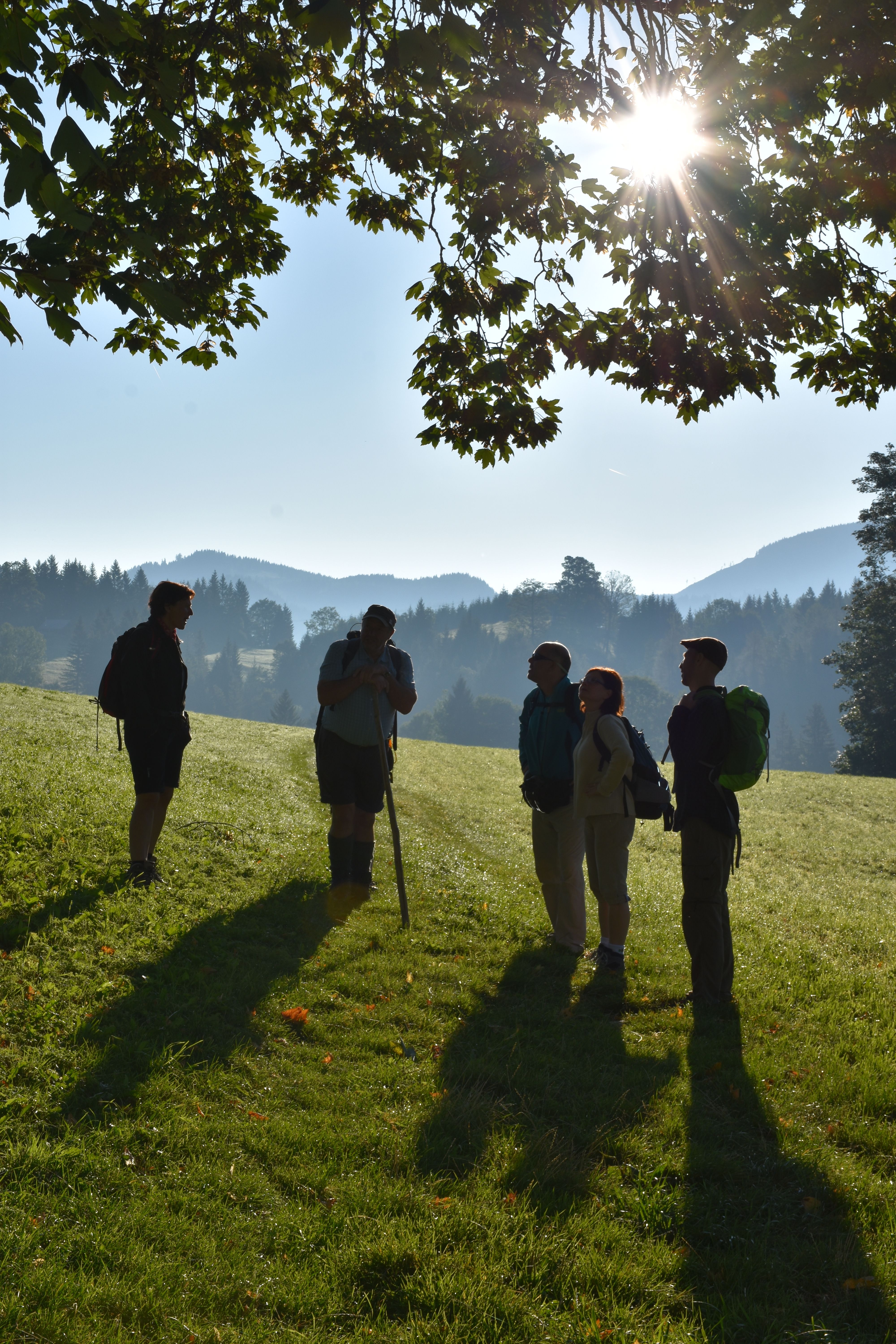 Eine Gruppe steht auf einer Wiese und jodelt gemeinsam.