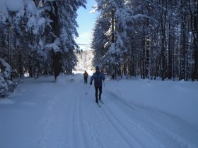 Wastlloipe, &copy; Mostviertel