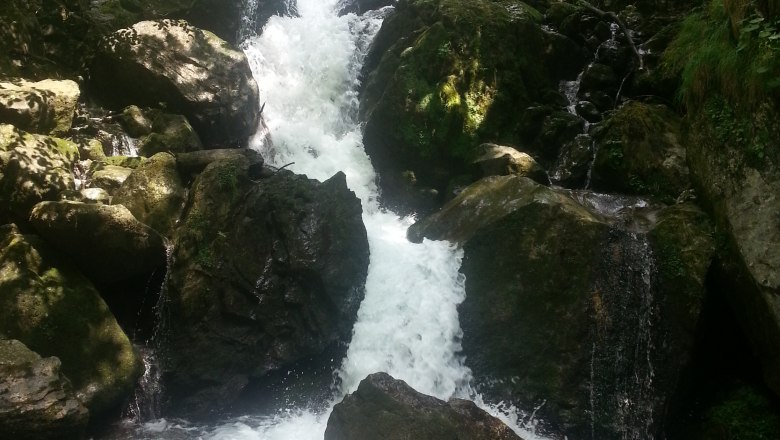 Ein Wasserfall fließt über Felsen in einem bewaldeten Gebiet.