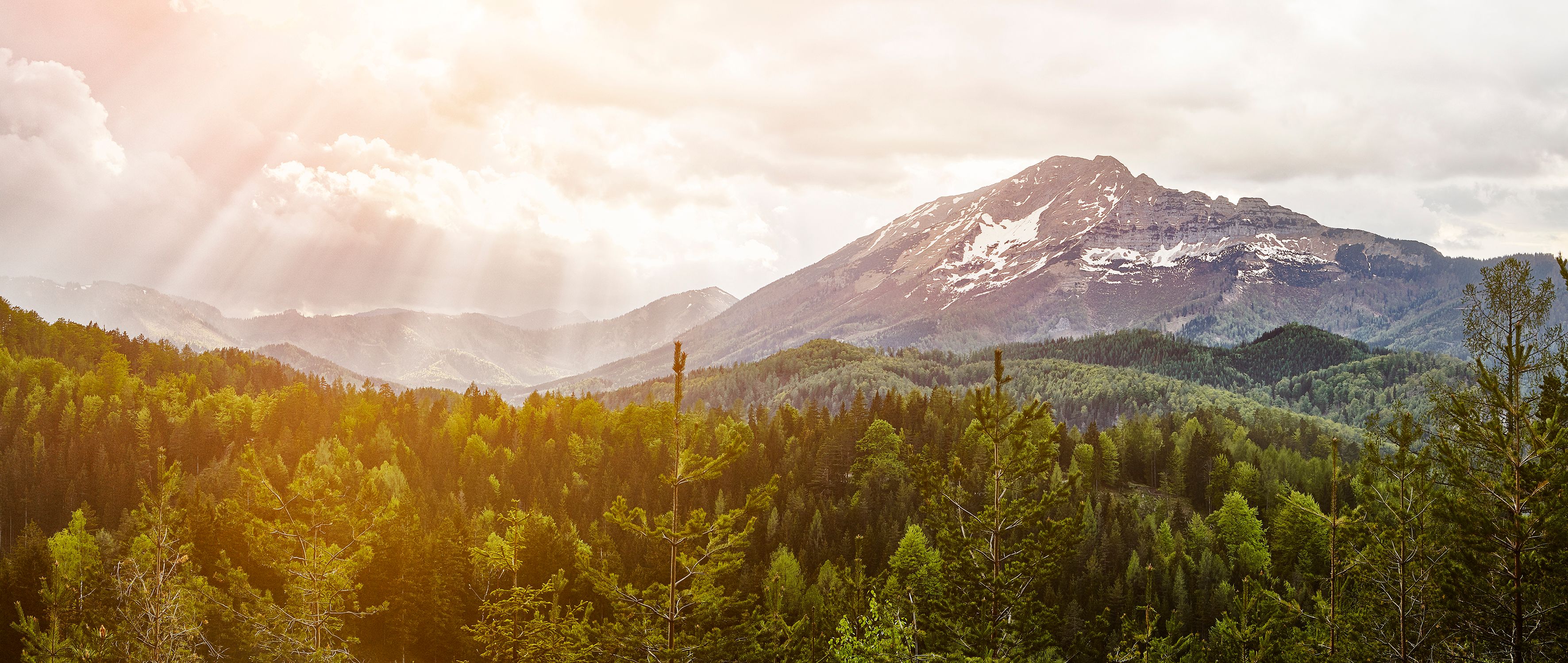 Die majestätischen Gipfel des Ötschers erheben sich stolz über die üppigen Wälder, während die sanften Sonnenstrahlen die Landschaft in ein warmes Licht tauchen. Hier, wo die Natur in voller Pracht erblüht, lädt die frische Bergluft zu unvergesslichen Erlebnissen ein.