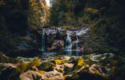 Die sanften Wasserfälle plätschern melodisch in das klare, tiefblaue Wasser des Sees, umgeben von üppigem Grün und majestätischen Bäumen. Ein Ort der Ruhe und Erholung, der die Seele mit seiner unberührten Natur verzaubert.