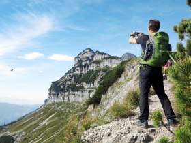 am Rauhen Kamm, &copy; weinfranz.at