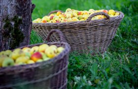 Streuobstwiese , &copy; Cleanhill Studios