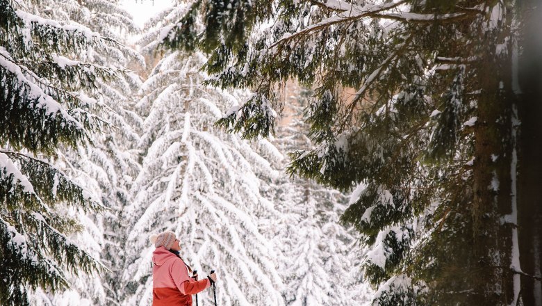 Nestelberg 17, © Sabine Wieser