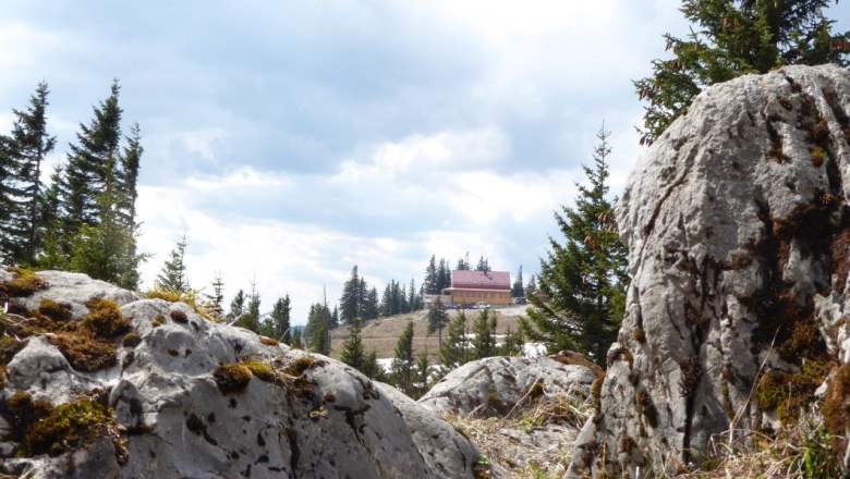 Blick auf das Annabergerhaus in einer Berglandschaft mit Felsen und Bäumen im Vordergrund.