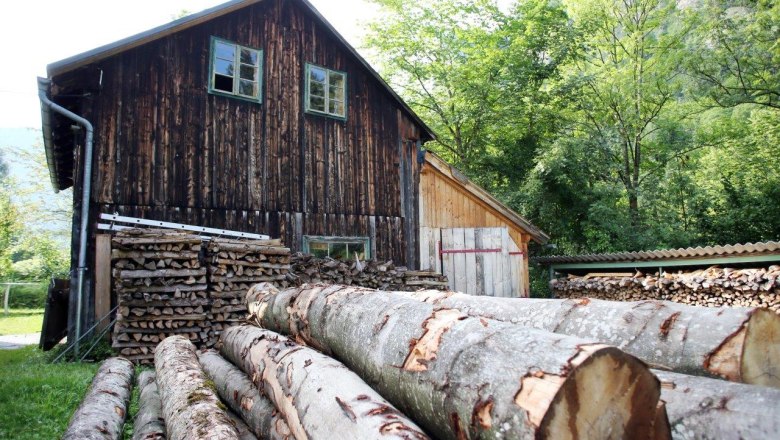 Holzstapel und Baumstämme vor einem rustikalen Holzgebäude im Freien.