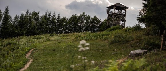 Aussichtswarte Hochbärneck, © Fred Lindmoser