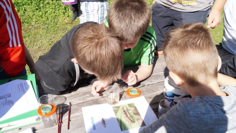 Bachwanderung mit Kindern der Naturparkschulen, © Naturpark Ötscher-Tormäuer