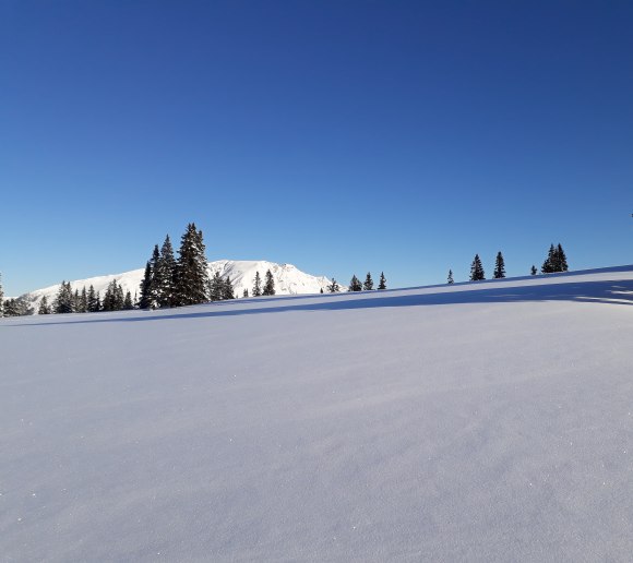&Ouml;tscher im Winter, &copy; Naturpark &Ouml;tscher-Torm&auml;uer