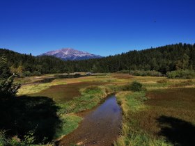 Erlauf_Walster4, &copy; TVB Mariazeller Land
