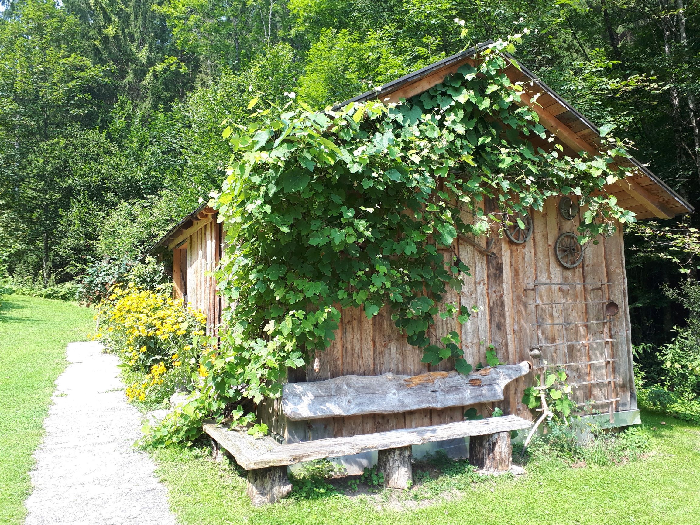 Vacation apartment Urmannsau