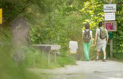 Ein sanfter Wanderweg schlängelt sich durch die üppige, grüne Landschaft, umgeben von hohen Bäumen und bunten Wildblumen. Die frische Luft und das Zwitschern der Vögel laden dazu ein, die Natur in vollen Zügen zu genießen und die Seele baumeln zu lassen.