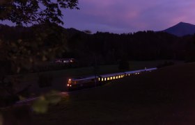 Ötscherbär bei Nacht, © Grojer