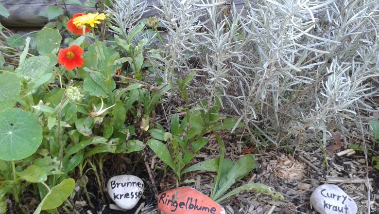 Herb garden, &copy; Reisenbichler