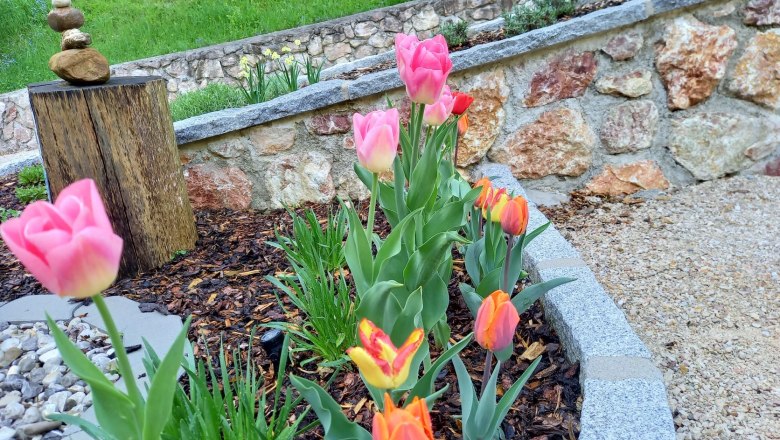 Front garden, &copy; Reisenbichler