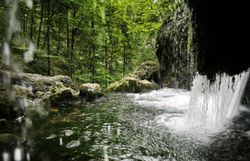 Der Trefflingfall verzaubert mit seinem kristallklaren Wasser, das sanft über die Felsen plätschert und eine erfrischende Atmosphäre schafft. Umgeben von üppigem Grün und majestätischen Bäumen lädt dieser Ort zum Verweilen und Entspannen ein, während die sanften Geräusche der Natur die Seele beruhigen.