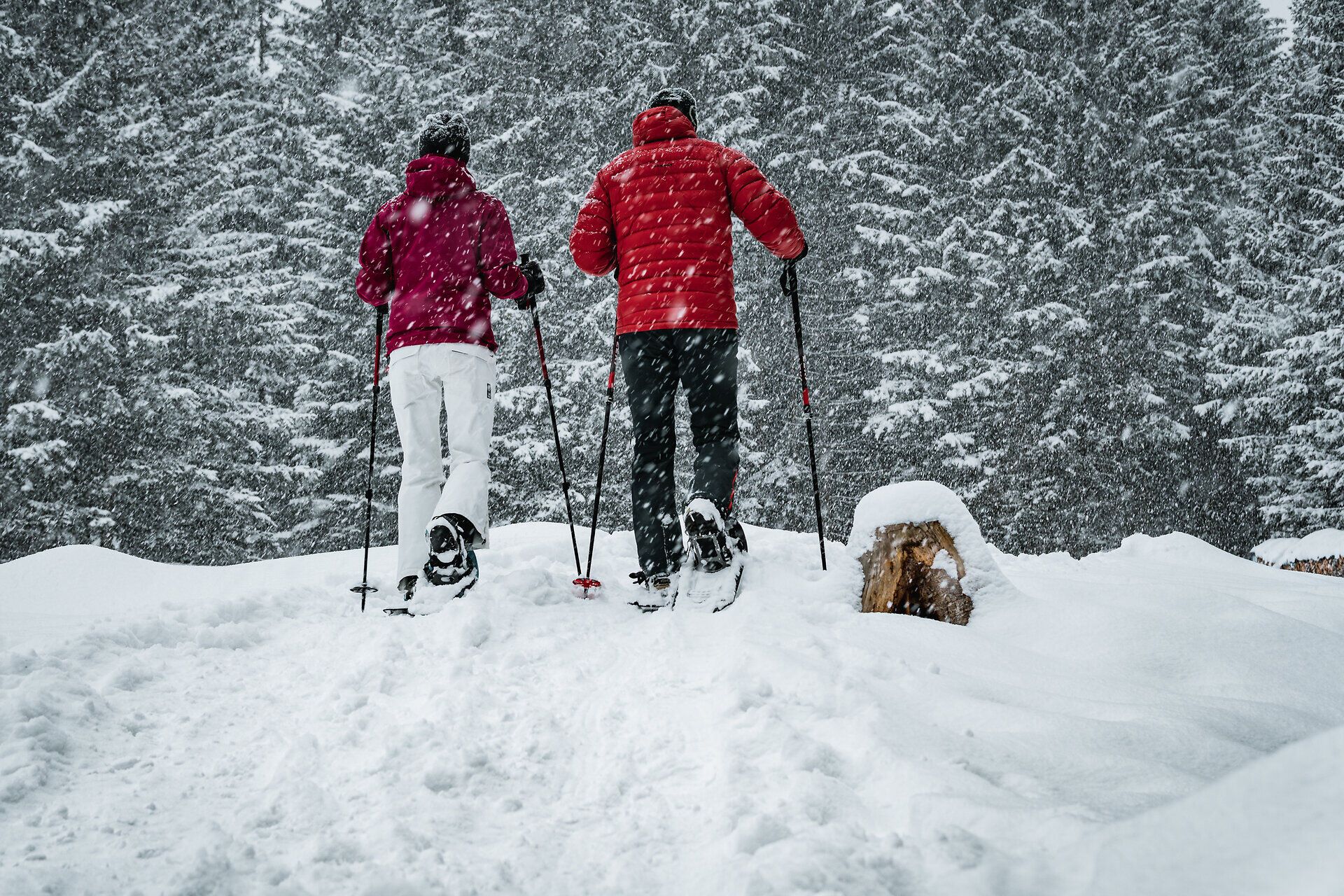 In der winterlichen Stille der Ybbstaler Alpen gleiten zwei Wanderer durch den frischen Schnee, während sanfte Schneeflocken vom Himmel fallen. Die unberührte Landschaft lädt dazu ein, die Ruhe der Natur zu genießen und die Schönheit des Winters abseits der Pisten zu entdecken.