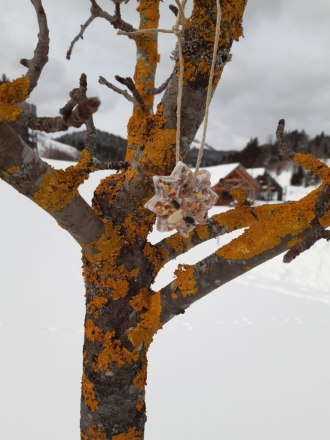 Basteln im Winter, &copy; Naturpark &Ouml;tscher-Torm&auml;uer