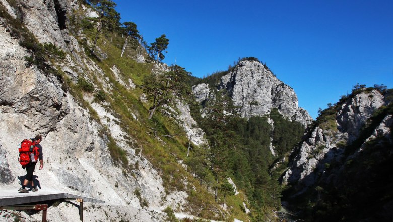 Person hikes along a narrow path in the Ötschergräben, surrounded by steep rock faces and pine trees, under a clear blue sky.