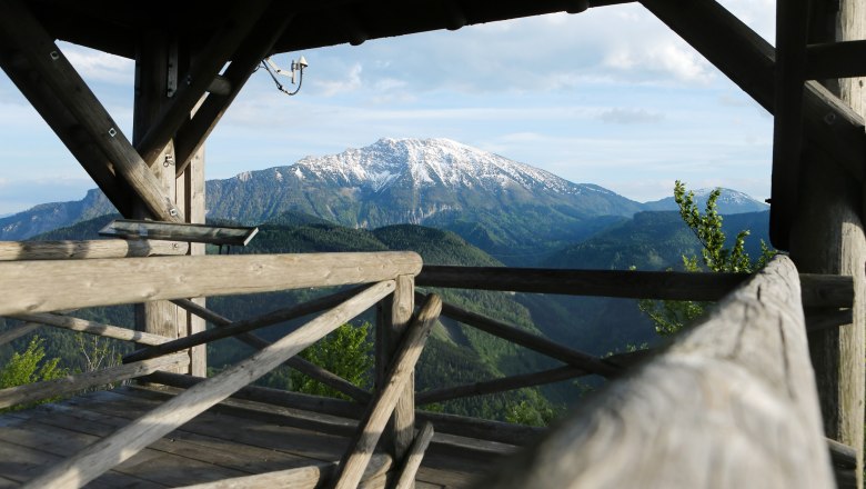 Holzplattform mit Blick auf schneebedeckten Berg und bewaldete H&uuml;gel.