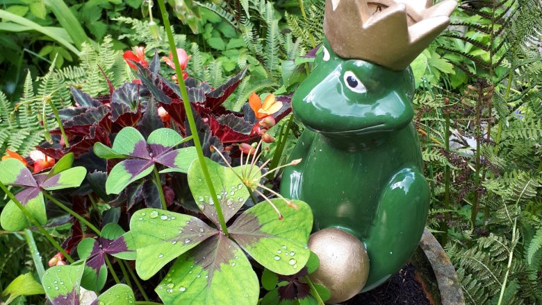 Ferienwohnung Urmannsau, © Melitta Praus