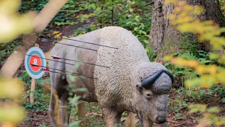 Ziele in verschiedensten Gr&ouml;&szlig;en erwarten die Bogensch&uuml;tzen, &copy; Ludwig Fahrnberger