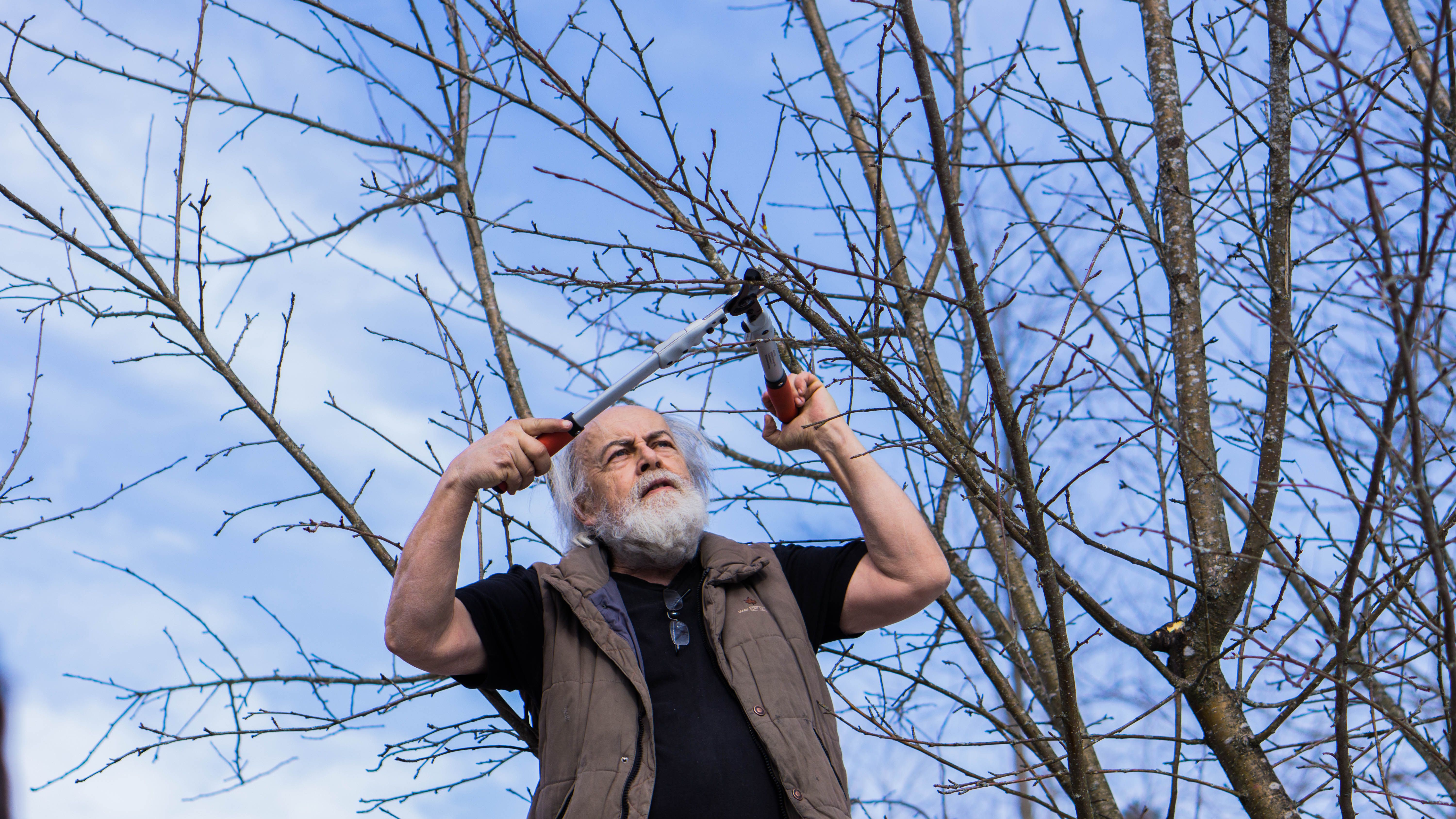 der Referent schneidet mit einer langen Gartenschere den Obstbaum zurück