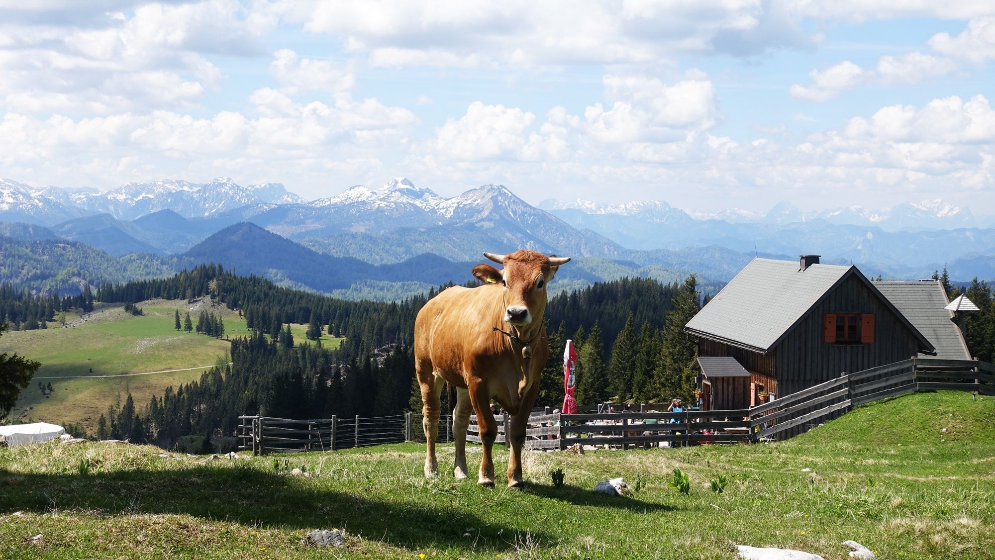 From Lake Erlaufsee via the Brach to the Gemeindealpe