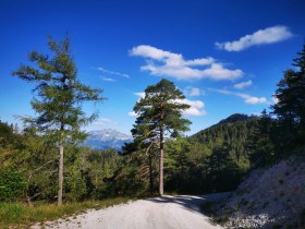 Erlauf_Walster1, &copy; TVB Mariazeller Land