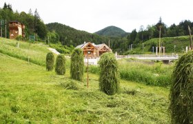 Heuernte im Naturpark, &copy; Naturpark &Ouml;tscher-Torm&auml;uer