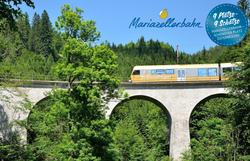 Ein Zug der Mariazellerbahn fährt über einen Viadukt im Naturpark Ötscher-Tormäuer. 