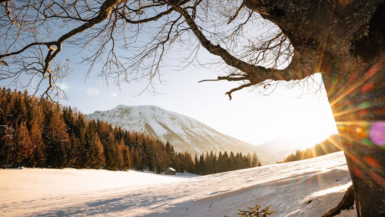 Nestelberg 17, © Sabine Wieser