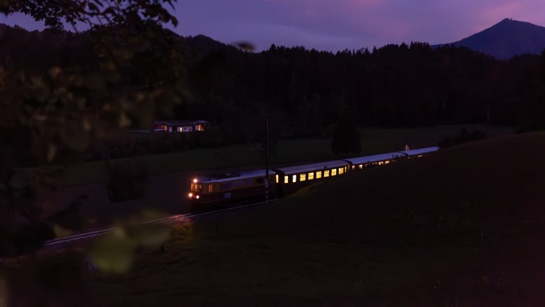 Ötscherbär bei Nacht, © Grojer